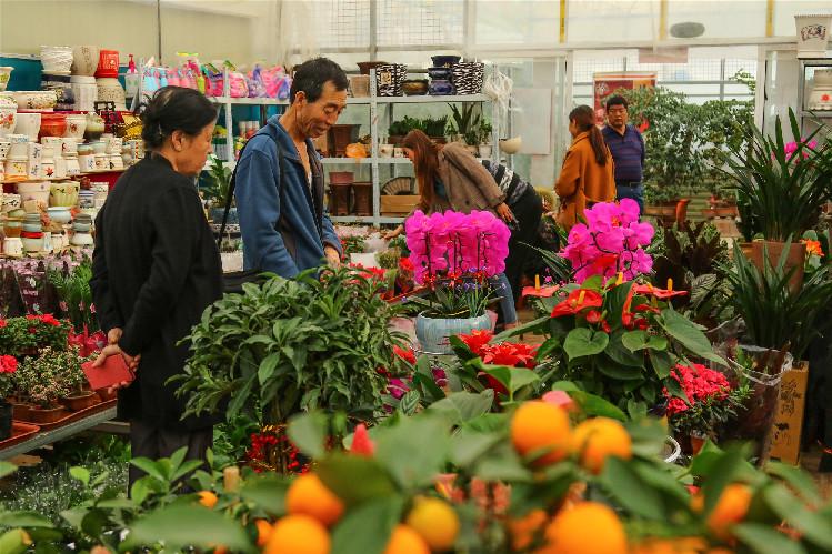 【第一眼】春意濃 花俏俏 你家的春來來了嗎？