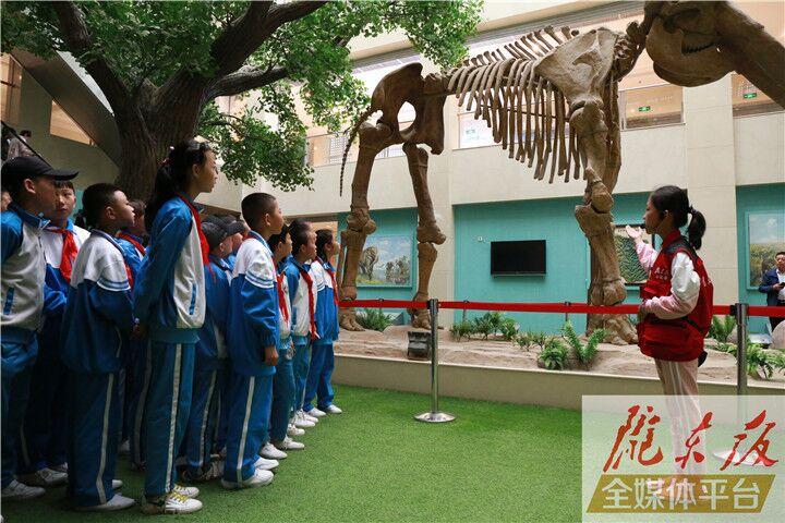 【第一眼】慶陽市博物館開展多項(xiàng)活動(dòng)慶?！?·18國際博物館日”