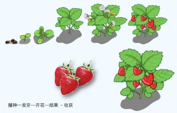 【防疫科普】如何利用園藝療法保持復(fù)工后身心健康？