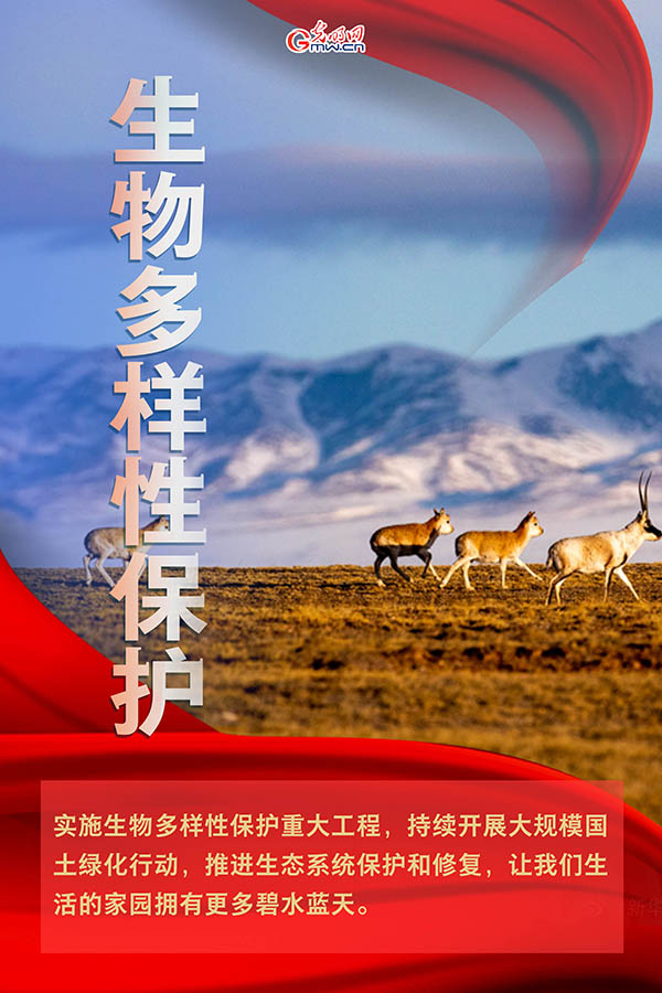 海報| 2021年政府工作報告，提到這些生態(tài)環(huán)保關(guān)鍵詞
