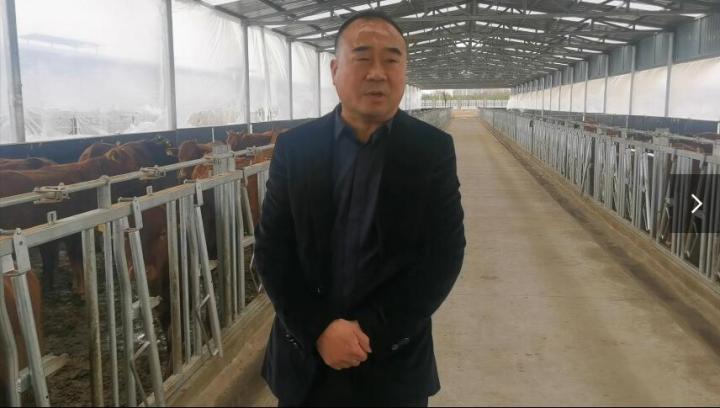 【脫貧攻堅我來見證】項祖地：讓“早勝?！逼放谱叱龈拭C  走向全國