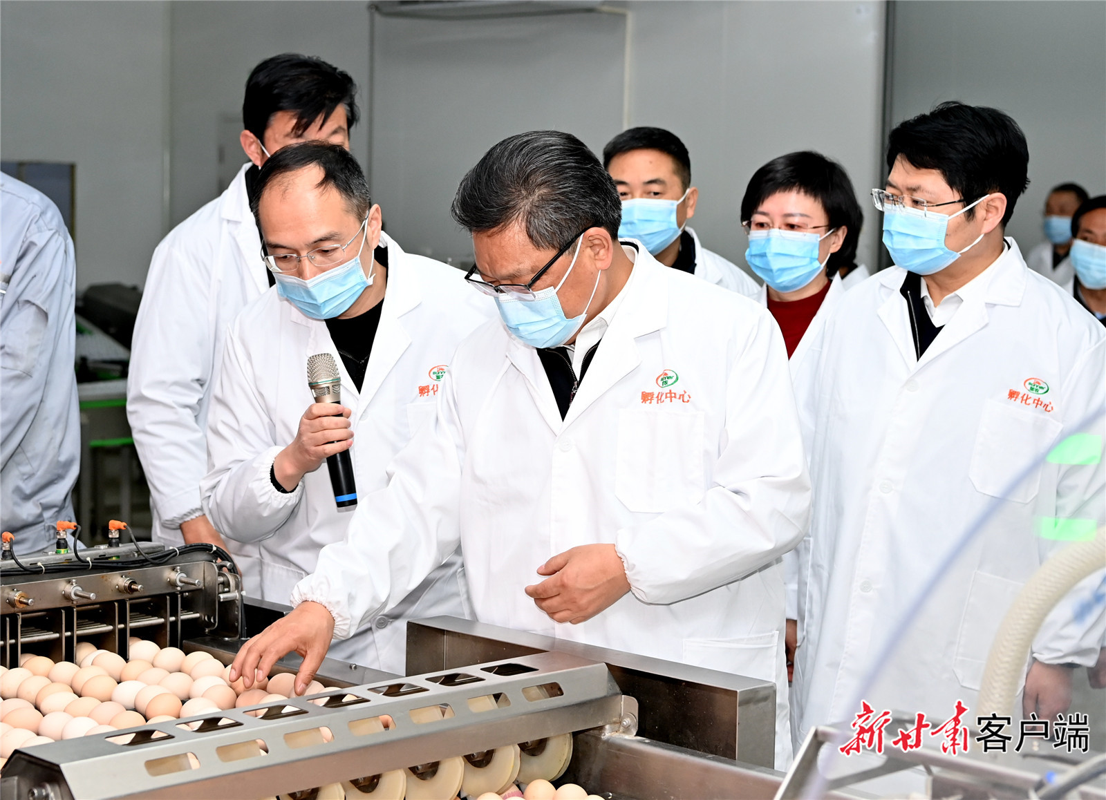任振鶴在慶陽調(diào)研時強調(diào)：用新思想指引新征程，以新發(fā)展書寫新答卷，真抓實干推動新時代革命老區(qū)振興發(fā)展