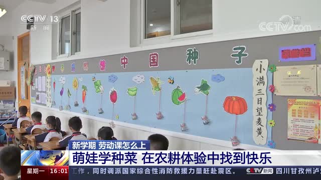 新學(xué)期，勞動(dòng)課怎么上？央視《新聞直播間》關(guān)注北師大慶陽(yáng)附校農(nóng)耕體驗(yàn)課