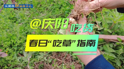 @慶陽吃貨，春日“吃草”指南來了