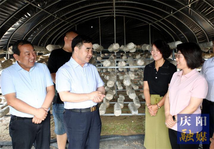 黃澤元在慶城縣調研時強調 務實重干抓項目 久久為功興產(chǎn)業(yè) 為縣域經(jīng)濟發(fā)展增添新動力注入新活力
