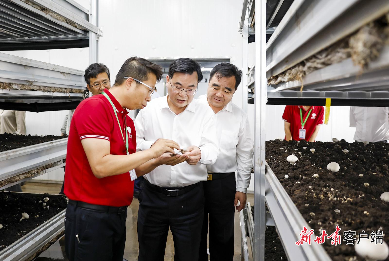 胡昌升在慶陽市調(diào)研時強(qiáng)調(diào)：加快高質(zhì)量發(fā)展持續(xù)增進(jìn)民生福祉 奮力開創(chuàng)革命老區(qū)全面振興新局面