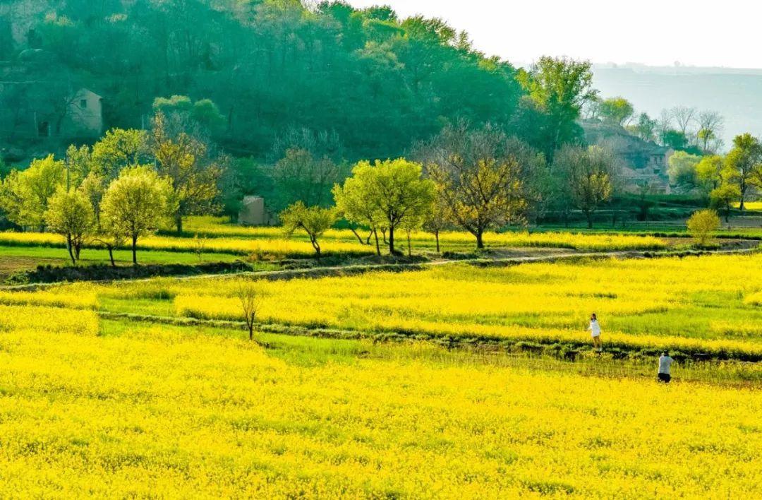 來(lái)慶陽(yáng)，一起“上春山”