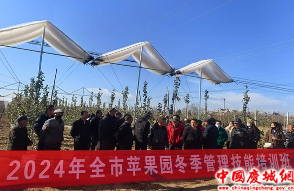 開展技術(shù)培訓 提升管理水平慶陽市冬季果園管理技術(shù)培訓在慶城縣拉開帷幕