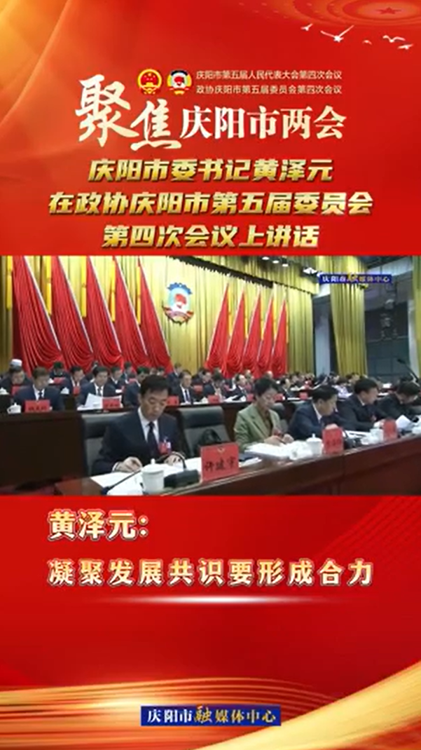 兩會(huì)V視(21) | 黃澤元：凝聚發(fā)展共識(shí)要形成合力