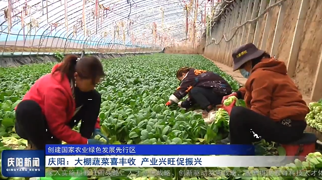 《慶陽(yáng)新聞》2025年2月6日