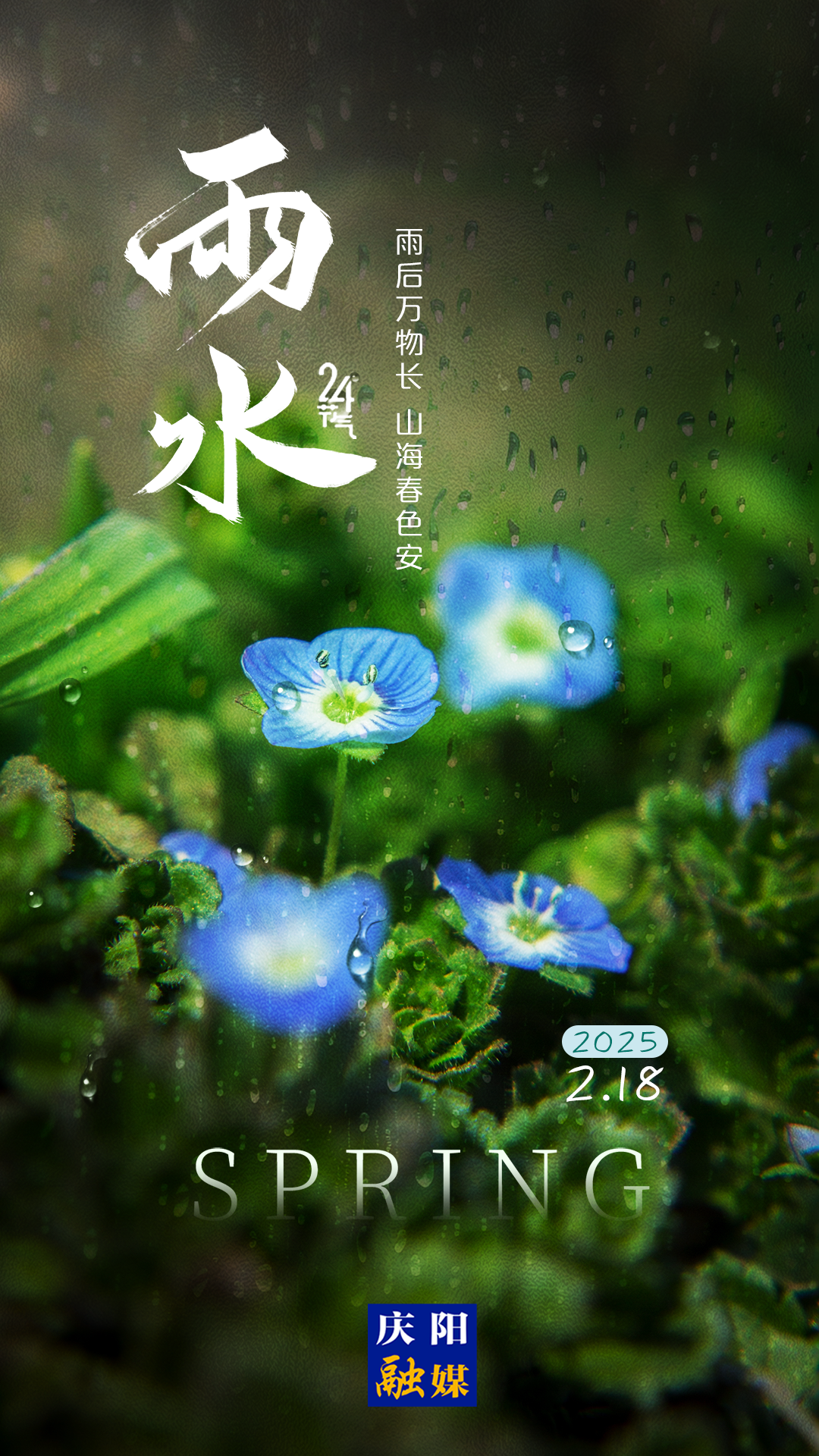 【二十四節(jié)氣·雨水】長圖 | 好雨知時節(jié) 當(dāng)春乃發(fā)生