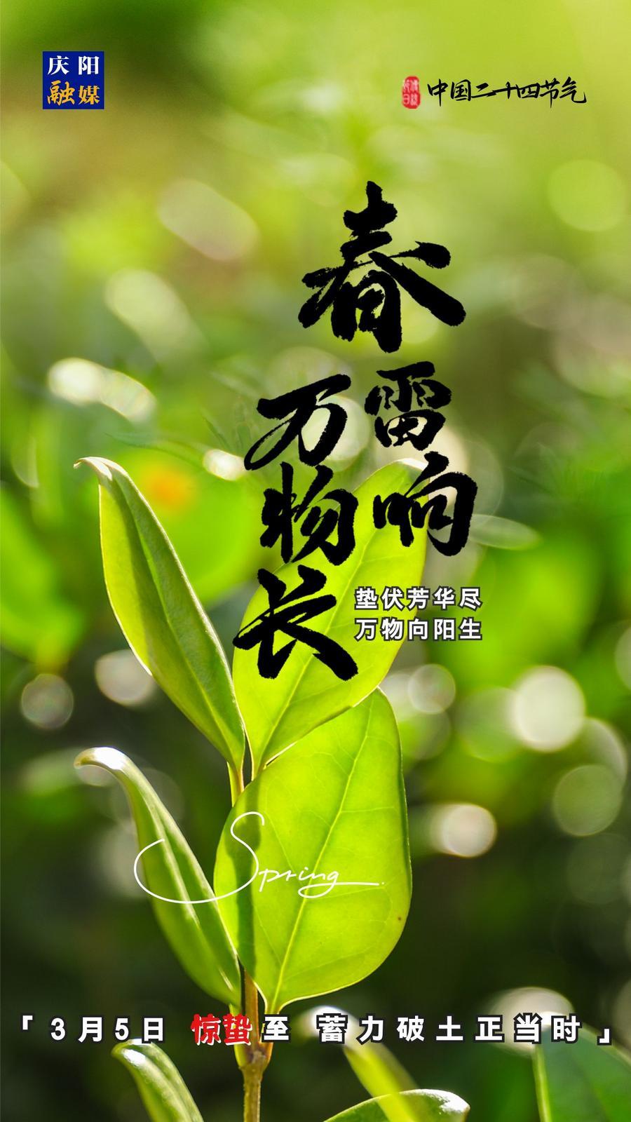 【微海報】二十四節(jié)氣丨驚蟄至，蓄力破土正當(dāng)時