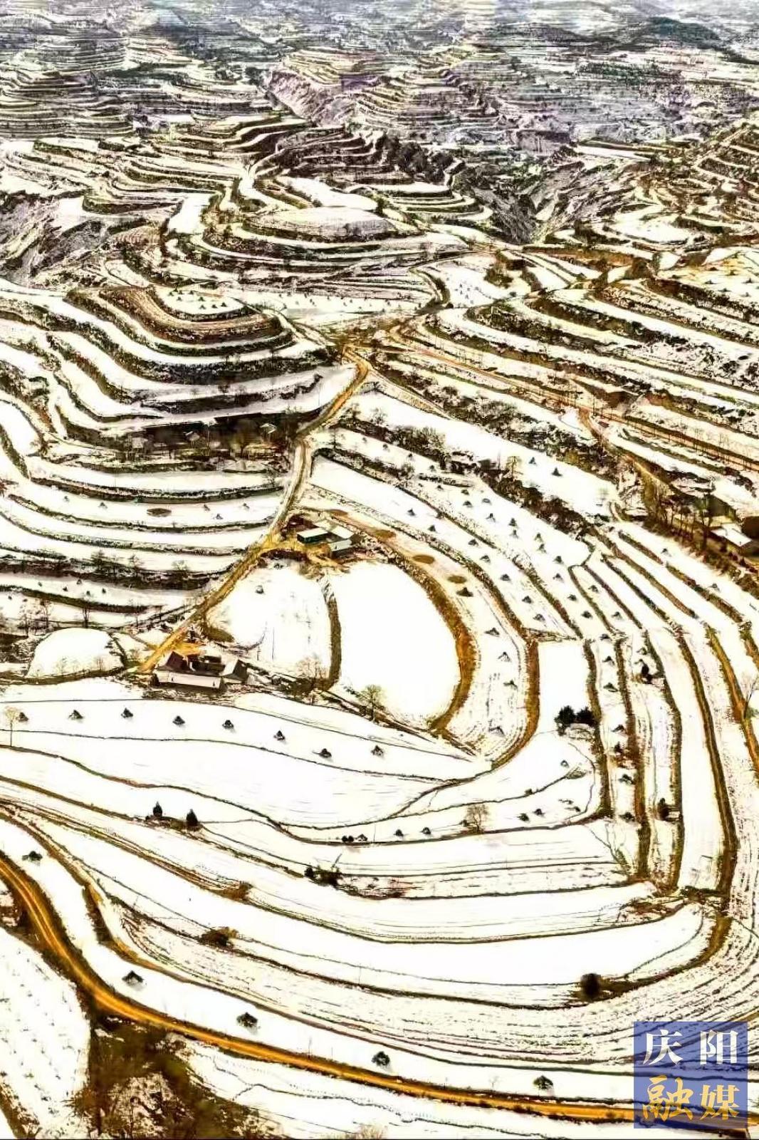 【大美慶陽】梯田雪韻