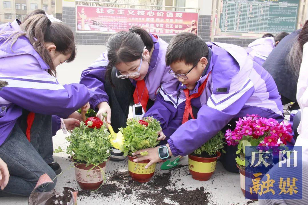 【點(diǎn)亮美好教育】“植”此青綠 共赴春天 西峰區(qū)新建小學(xué)開展植樹節(jié)主題活動