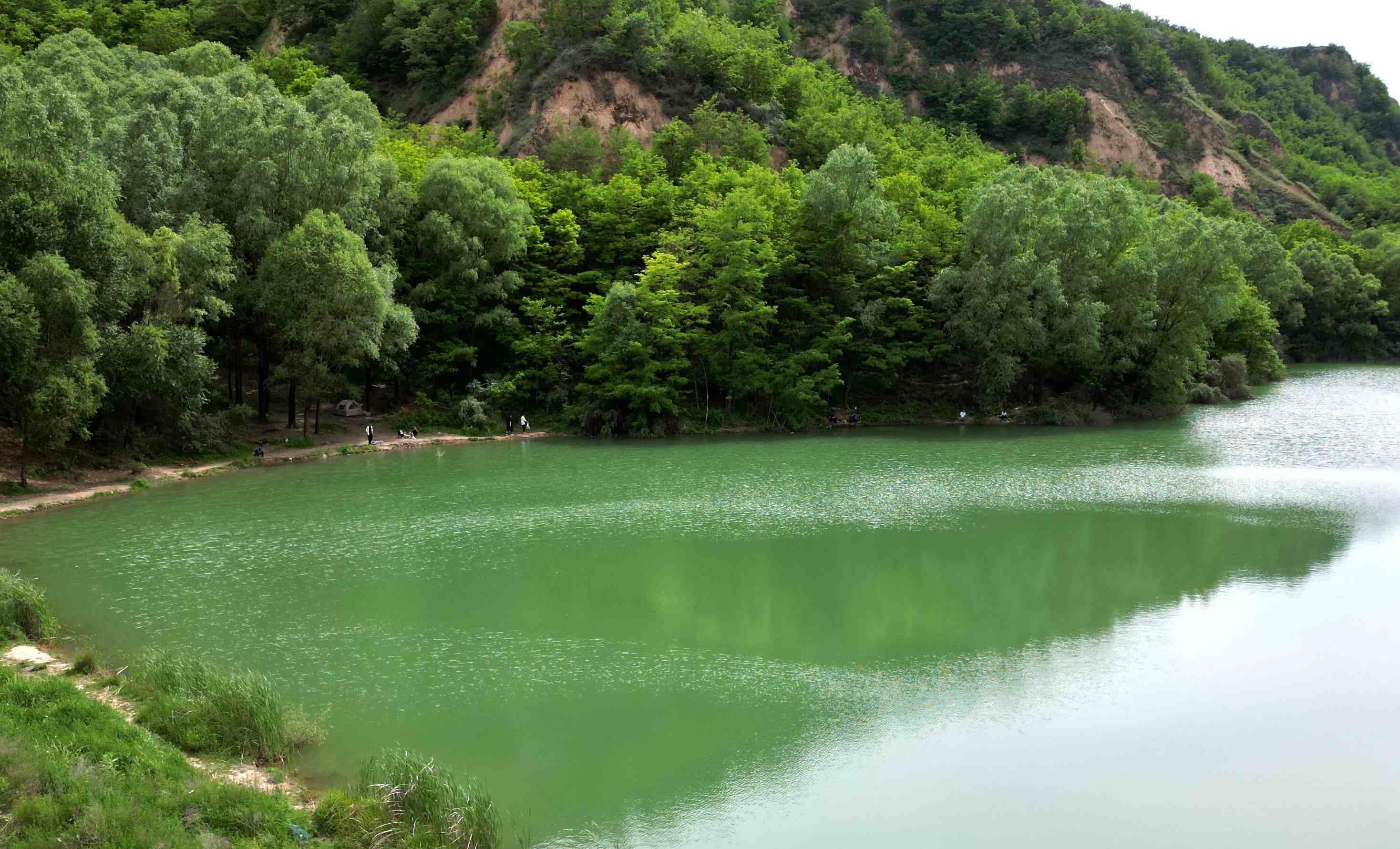 水保工程讓慶陽市群眾長享“綠色福利”