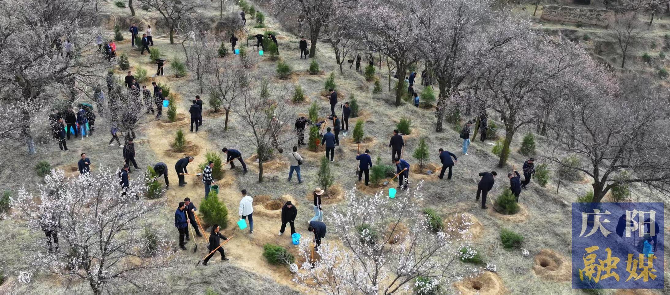 慶陽市市級機關義務植樹活動在西峰區(qū)舉行