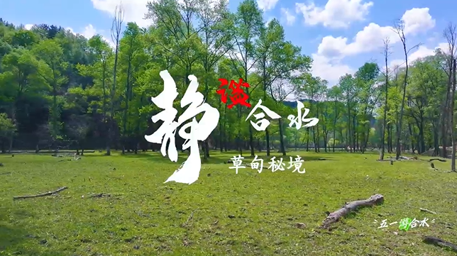 【五一游慶陽】靜謐合水︱合水縣太莪鄉(xiāng)草甸秘境等你來打卡！